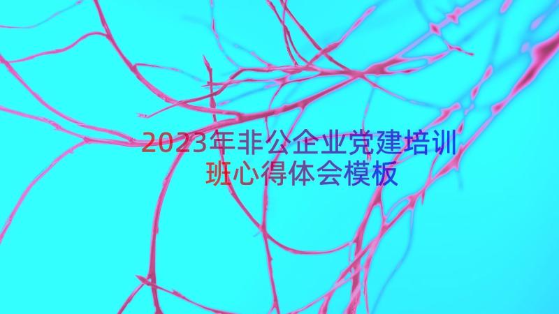 2023年非公企业党建培训班心得体会（模板13篇）