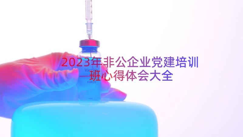 2023年非公企业党建培训班心得体会大全（12篇）