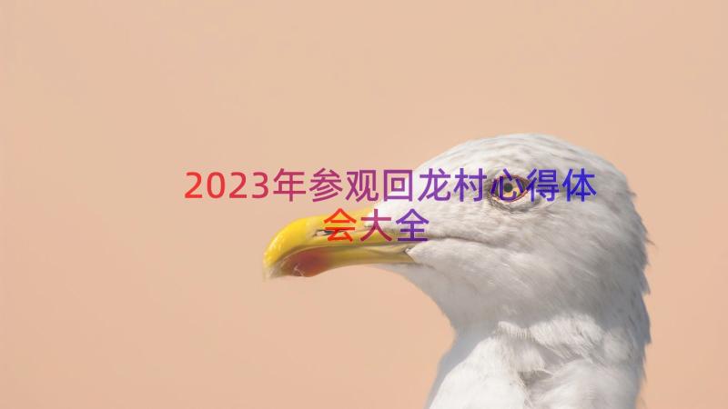 2023年参观回龙村心得体会大全（21篇）