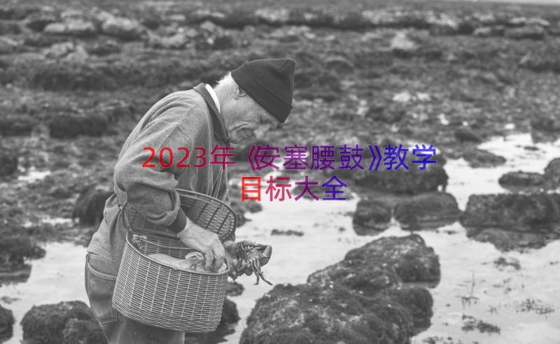 2023年《安塞腰鼓》教学目标大全（17篇）