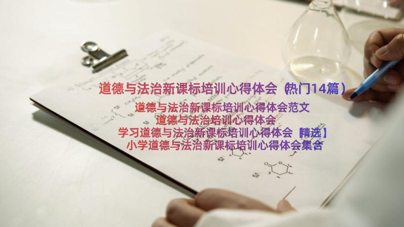 道德与法治新课标培训心得体会（热门14篇）