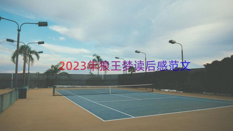 2023年狼王梦读后感范文（14篇）