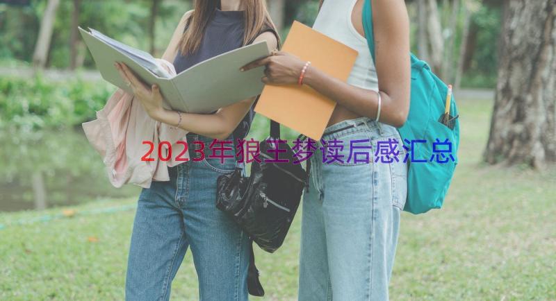 2023年狼王梦读后感（汇总14篇）