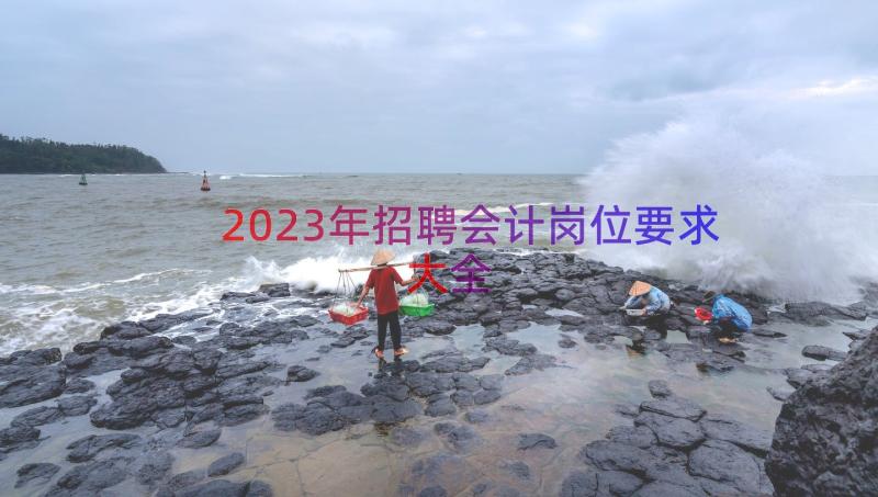 2023年招聘会计岗位要求大全（14篇）