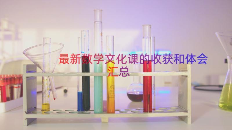 最新数学文化课的收获和体会（汇总13篇）