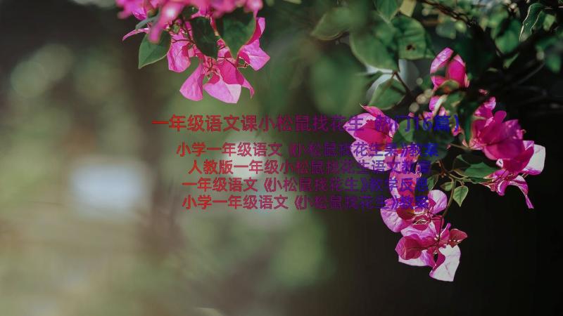 一年级语文课小松鼠找花生（热门16篇）