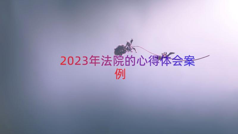 2023年法院的心得体会（案例16篇）