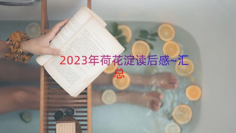 2023年荷花淀读后感~（汇总18篇）