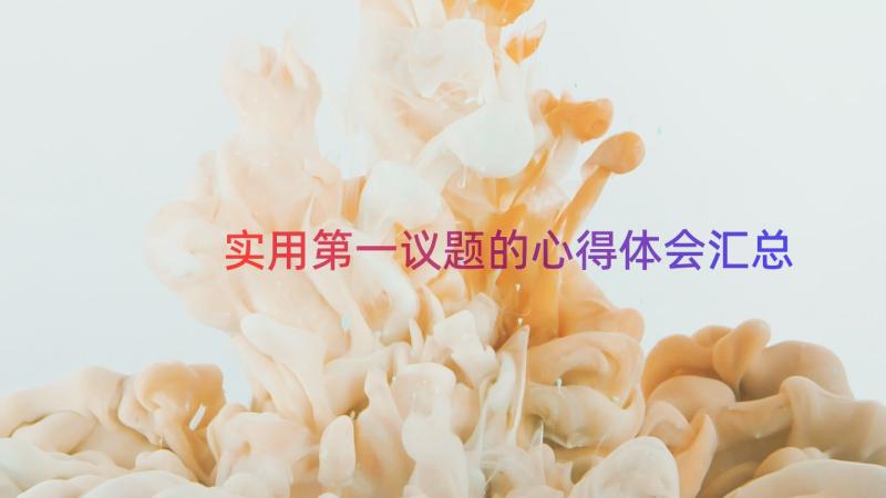 实用第一议题的心得体会（汇总12篇）