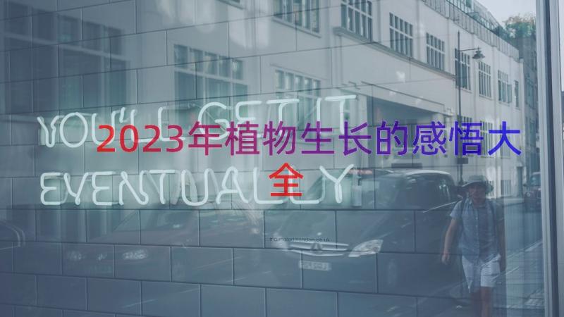 2023年植物生长的感悟大全（16篇）