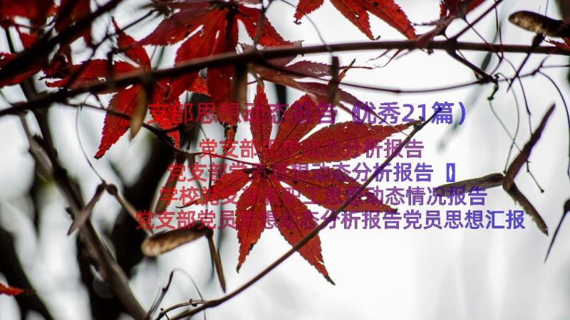 支部思想动态报告（优秀21篇）