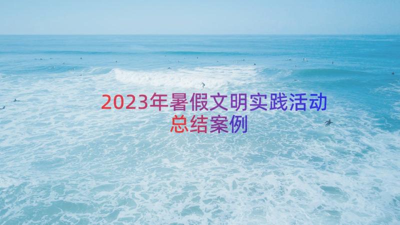 2023年暑假文明实践活动总结（案例14篇）