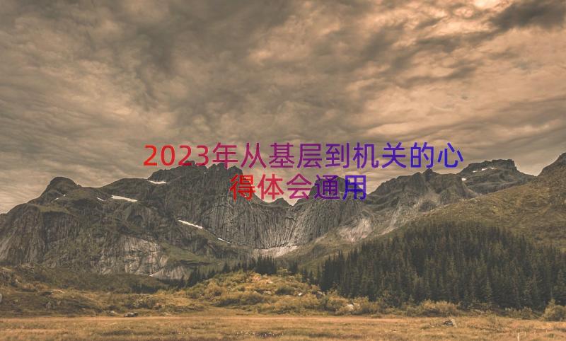 2023年从基层到机关的心得体会（通用14篇）