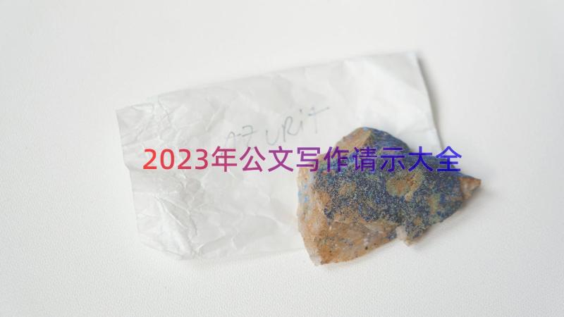 2023年公文写作请示大全（15篇）