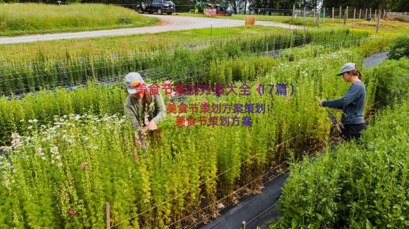 美食节策划方案大全（17篇）