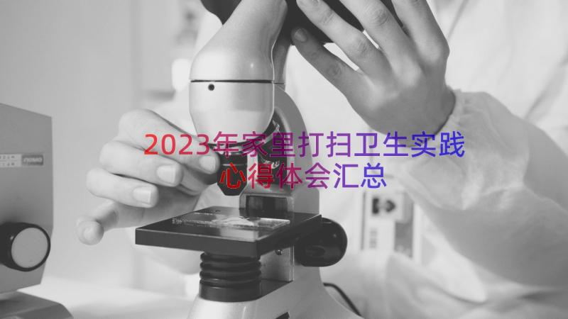 2023年家里打扫卫生实践心得体会（汇总15篇）