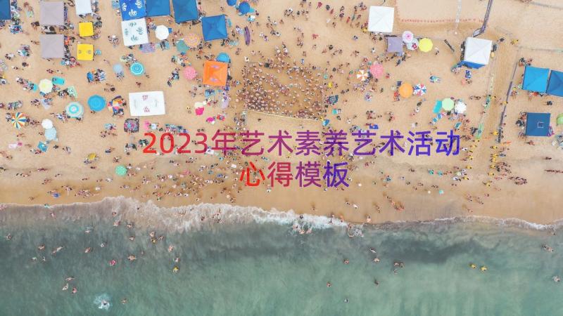 2023年艺术素养艺术活动心得（模板17篇）