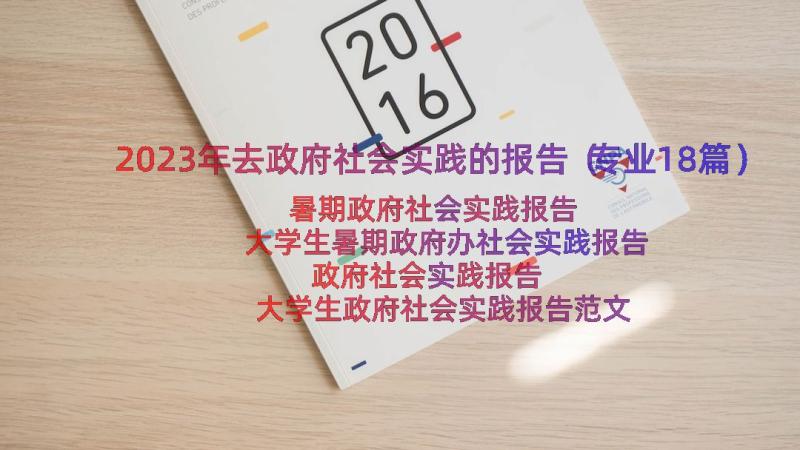 2023年去政府社会实践的报告（专业18篇）