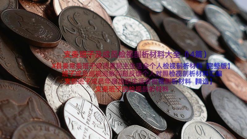 支委班子及成员检视剖析材料大全（14篇）