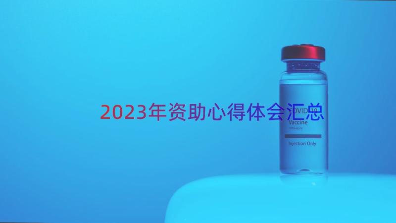 2023年资助心得体会（汇总14篇）