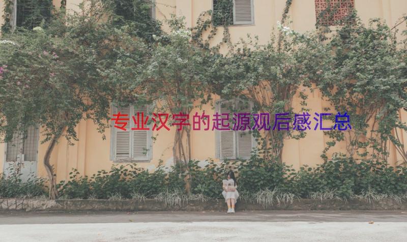 专业汉字的起源观后感（汇总18篇）