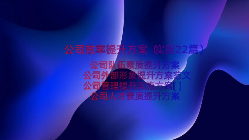 公司效率提升方案（实用22篇）