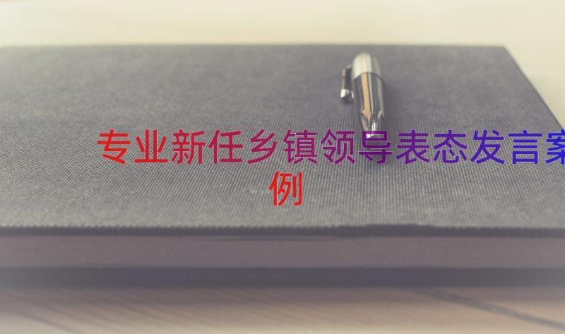 专业新任乡镇领导表态发言（案例13篇）