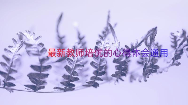 最新教师培优的心得体会（通用15篇）