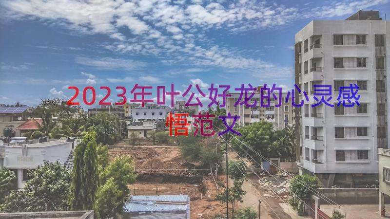 2023年叶公好龙的心灵感悟范文（17篇）