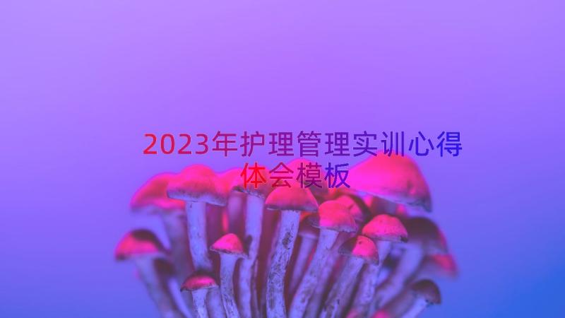 2023年护理管理实训心得体会（模板18篇）