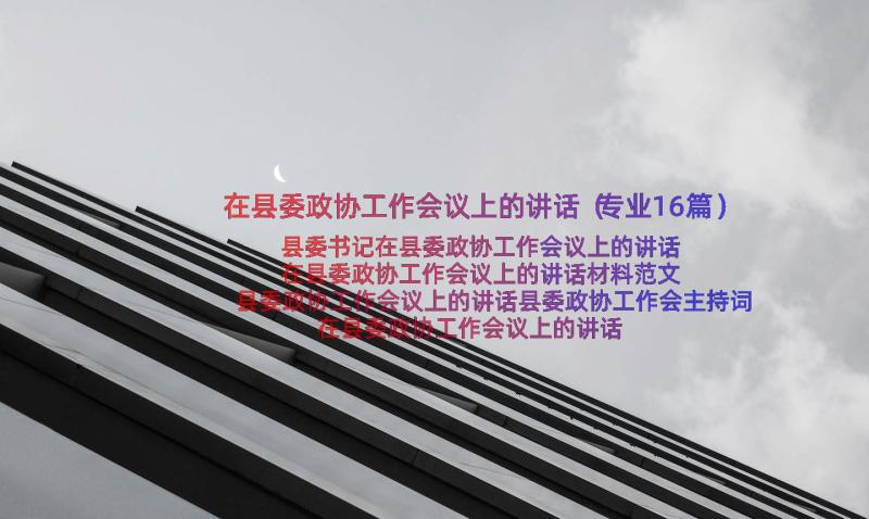 在县委政协工作会议上的讲话（专业16篇）