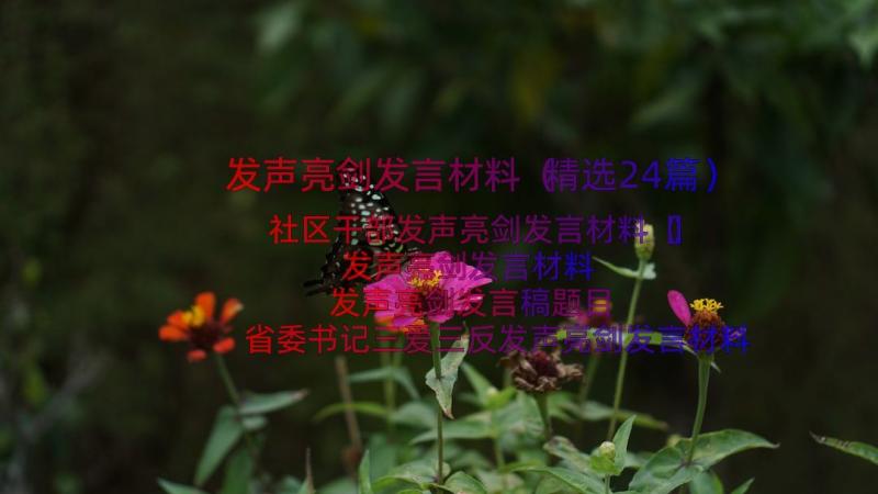 发声亮剑发言材料（精选24篇）