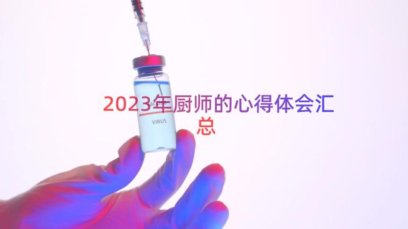 2023年厨师的心得体会（汇总13篇）