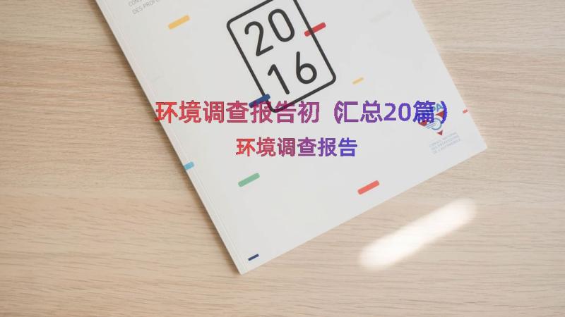 环境调查报告初（汇总20篇）