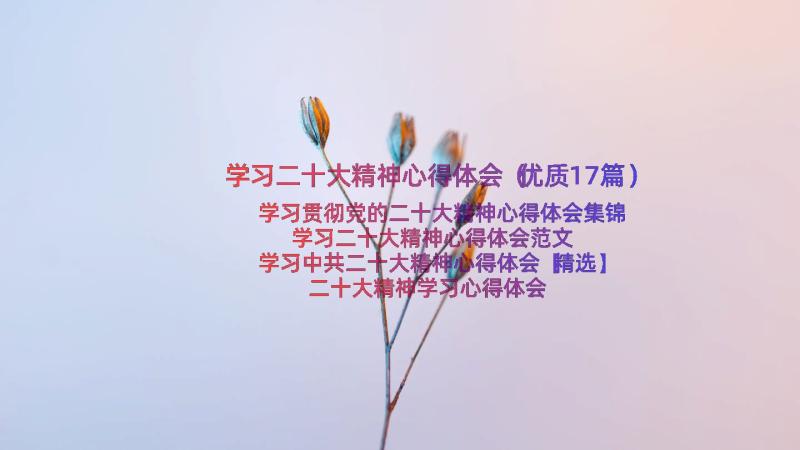 学习二十大精神心得体会（优质17篇）