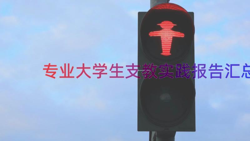 专业大学生支教实践报告（汇总20篇）