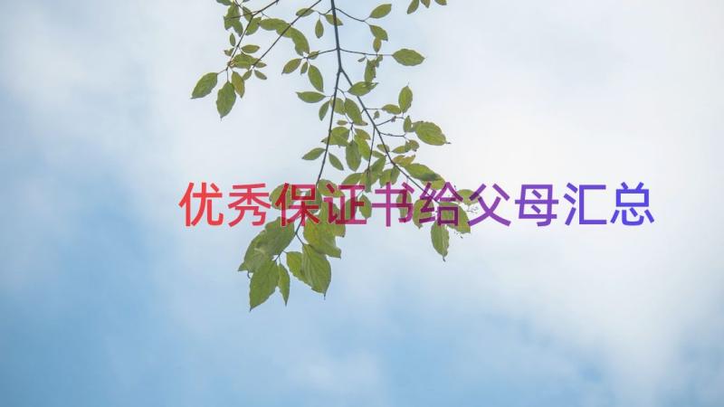 优秀保证书给父母（汇总16篇）