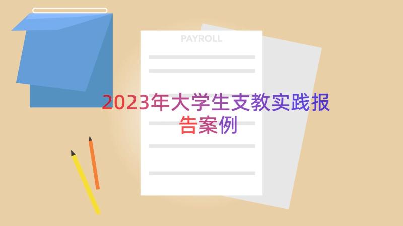 2023年大学生支教实践报告（案例13篇）