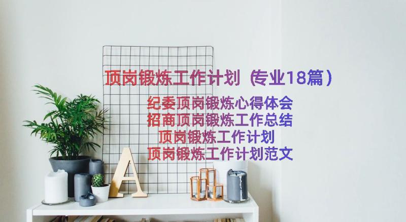 顶岗锻炼工作计划（专业18篇）