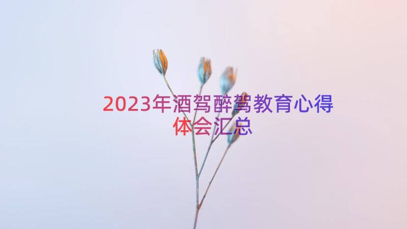 2023年酒驾醉驾教育心得体会（汇总13篇）