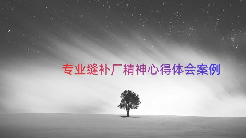 专业缝补厂精神心得体会（案例15篇）