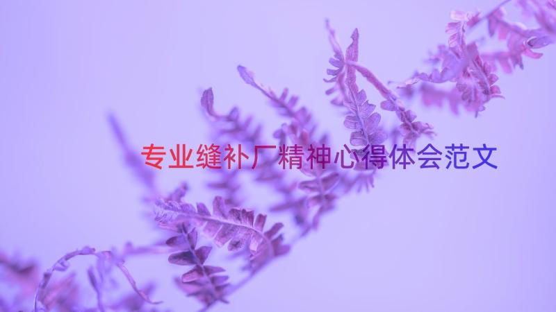 专业缝补厂精神心得体会范文（18篇）