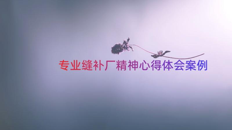 专业缝补厂精神心得体会（案例16篇）