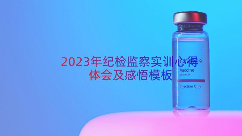 2023年纪检监察实训心得体会及感悟（模板15篇）