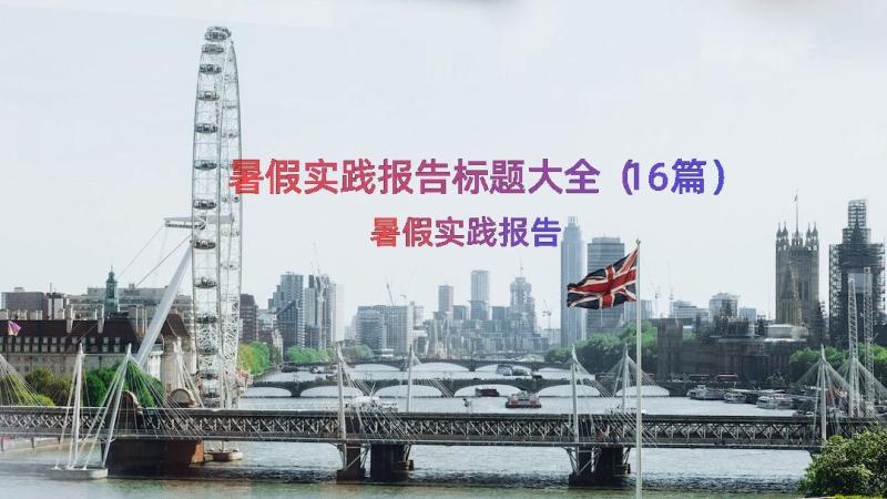 暑假实践报告标题大全（16篇）