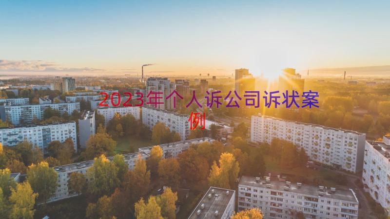 2023年个人诉公司诉状（案例17篇）