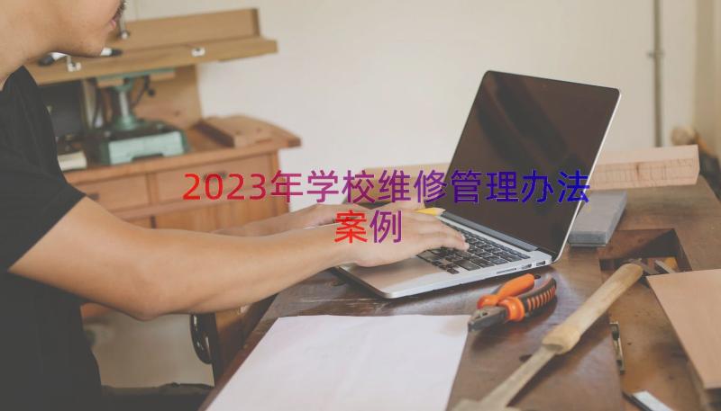 2023年学校维修管理办法（案例19篇）