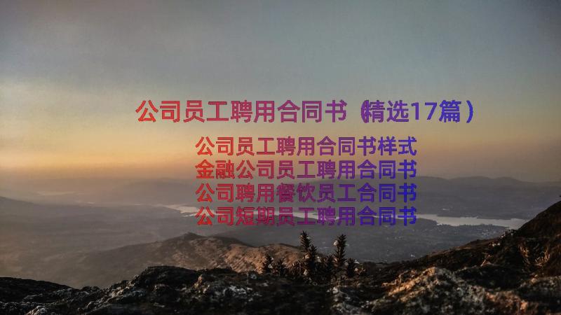 公司员工聘用合同书（精选17篇）