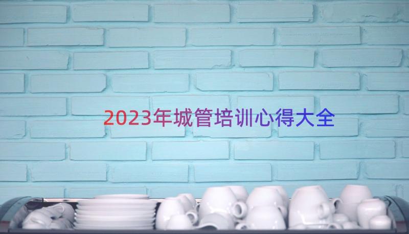 2023年城管培训心得大全（14篇）