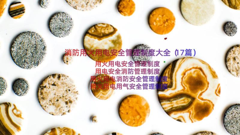 消防用火用电安全管理制度大全（17篇）